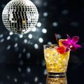 Cocktail Disco & Chilled Grooves Part 8