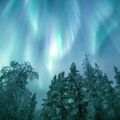 Northern lights (Meditations on Nature)