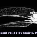 Acid Soul vol.22 by Emir E. Mardan