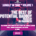 BEST OF POTENTIAL BADBOY JUNGLE IN DNB MEGA MIX BY DJ MADDNESS (KMA)