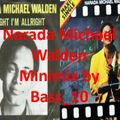 Narada Michael Walden Minimix (3 tracks, 2019)