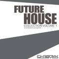 Future House Compilation Volume 1 by DJ ChrisMyk (August 2015)