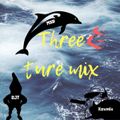 Three-Ture Mix Part 2  By Xavmix, MXR, DjT