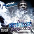 DJ Spinbad - The Snoop Dizzle Mixtape