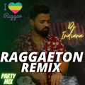 REGGAETON PARTY REMIX SONGS 2021| COMMERCIAL SONGS| REGGAE DJ MIX BY DJ INDIANA| Reggae Remix Songs