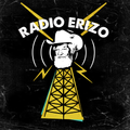 RADIO ERIZO-THE LEVITANS, THE BELA LUGOSSIPS, FAZERDAZE, THE COURTNEYS, AMANITAS Y MÁS