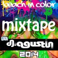 Dj Agustin - Beach In Color 2014