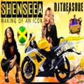 SHENSEEA MIX 2020 RAW: SHENSEEA DANCEHALL MIX 2020  MAKING OF AN ICON | DJ TREASURE 18764807131