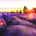 Midnight Silhouettes 12-19-21