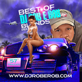 BEST OF DJ ROB E ROB BLENDS 57 TRACKS (90 MINS)
