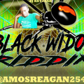 (2019) BLACK WIDOW VOL 1 RIDDIM MIXTAPE