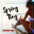 SoulBounce Presents The Mixologists: dj harvey dent's 'Spring Ting'