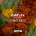 Cadenza Podcast | 081 - Molly (Cycle)