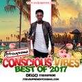 Conscious Vibes Best of 2017