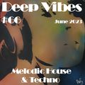 Deep Vibes #66 Melodic House & Techno [Coeus, Saalbach, Moeaike, Moonwalk, Nihil Young & more]