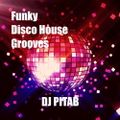 Funky Disco House Grooves 2020 - Dj PitaB