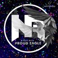Nelver - Proud Eagle Radio Show #420 [Pirate Station Online] (15-06-2022)