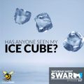 Have you seen my Icecube | SNS Ep 167