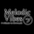 MELODIC VIBES SERVED WITH LOVE ( a tribute to EINMUSIK )