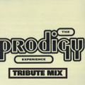 Prodigy Experience Tribute Mix