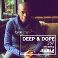 Deep Ambient House Music DJ Mix by JaBig - DEEP & DOPE 257