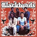 The Blackbyrds - Remixes