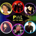 THE HIT FACTORY _ PWL IN THE MIX (STOCK AITKEN WATERMAN)
