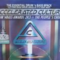 Zinc & Hype w/ MC's - Accelerated Culture - The D&B Awards 2k3 The Sanctuary - 6.12.03