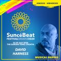 Musical Heroes Guest Mix #30 David Harness