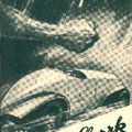 Tom Shark 191 - Der Feind der Auto-Rennfahrer