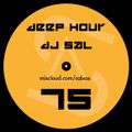 Deep hour - DJ Sal vol.75