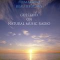 Firmament - Beautiful Sky (guest mix on NaturalMusicRadio) (04.12.2009)