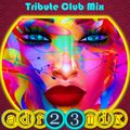 Diva Viva - Club Mix 2 (adr23mix) Special DJs Editions