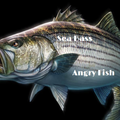 Sea Bass Are Angry Fish