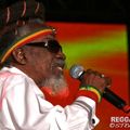 Bunny Wailer - Rebel Salute, St. Ann, Jamaica 2014-01-17 Sounboard
