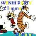 Svensk Party 2 tim (DJ Peter in the mix)