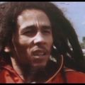 Bob Marley - Shibuya Public Hall 04-07-79