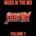 Select Mix - Mixes In The Mix Vol 1 (Section The Party)