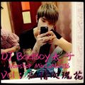 DJ Badboy Nonstop Mixtape 2016 Vol 8：( 痴情玫瑰花 )