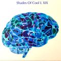 Shades Of Cool L XIX