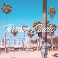 Terrace Audio Mixtape Vol. 21 (g-funk, hip-hop, chillout)