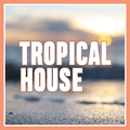 DJ Brandon - Tropical House Mixtape 2021