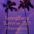Spring Early Summer 2021 Promomix Mixed by DJ Baer