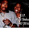 R-I-P - AFENI & 2PAC SHAKUR THE LEGENDS@JRRECORDS