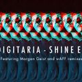 Digitaria - Shine Mix