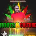 BEST OF ROOTS AND CULTURE