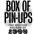 V.A. – Pin-Ups Sounds: 100 British tracks of 1965!