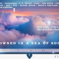 Drowned in a Sea of Sound, Volume 34