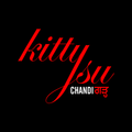 Vibe Projekt 2 :  ADITYA KULHARIA ( KittySu Chandigarh )