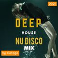Deep House NU Disco Mix vol. #4 / 2021